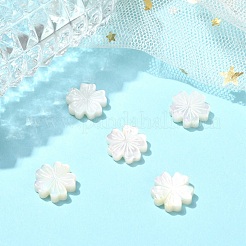 5шт натуральные белые бусины из ракушек&nbsp;BSHE-CJ0001-11