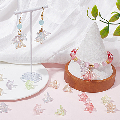 160 шт. двухцветные прозрачные акриловые колпачки для бусин OACR-SC0001-29