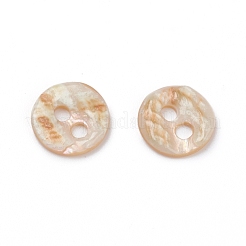 Раковина морского морского ушка / раковина пауа BSHE-I011-04E