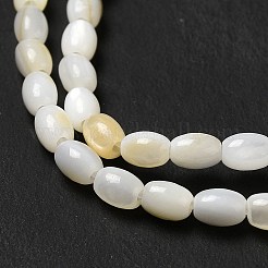 Нить из натуральных пресноводных раковинных бусин&nbsp;BSHE-E026-16A