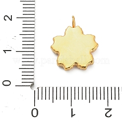 Подвески из нержавеющей стали 304 с эмалью&nbsp;LS-STAS-F331-01C-G