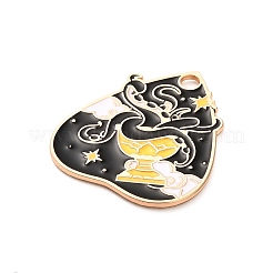 Подвески из эмали и сплава&nbsp;FIND-V001-01G-02