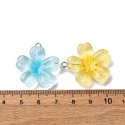 Прозрачные смоляные подвески&nbsp;RESI-A046-05B