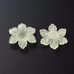 Прозрачные акриловые бусины MACR-S373-117-D03