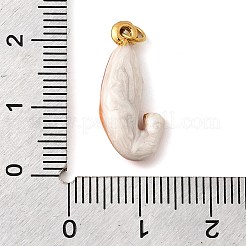 Подвески из нержавеющей стали 304 с эмалью&nbsp;STAS-B093-33G-06