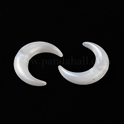 Акриловые бусины OACR-H042-06B