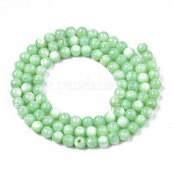 Нити бусин из натуральных пресноводных ракушек SHEL-N003-24-B03