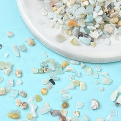 Бусины из амазонитовой крошки из натуральных цветов G-O103-11