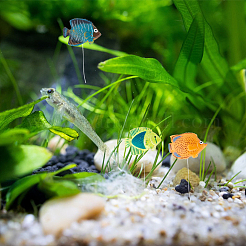 100шт пластиковая игрушка&nbsp;KY-GA0001-23