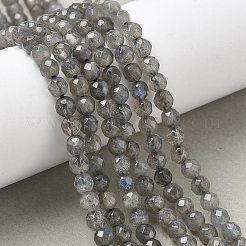 Природные лабрадорита бисер нитей&nbsp;G-G213-4mm-03