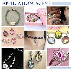 Кабошоны из стекла GLAA-PH0002-26B