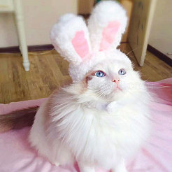 2 шт.&nbsp;AJEW-GL0002-57