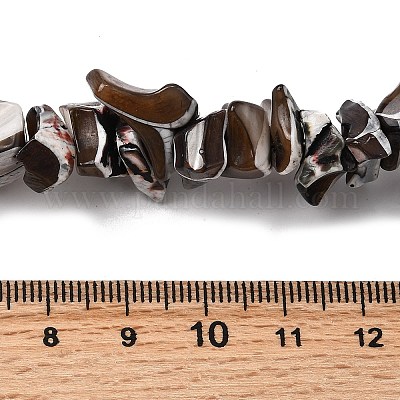 Нити бусин из натуральных трохоидных/трохус ракушек SHEL-B003-02-1