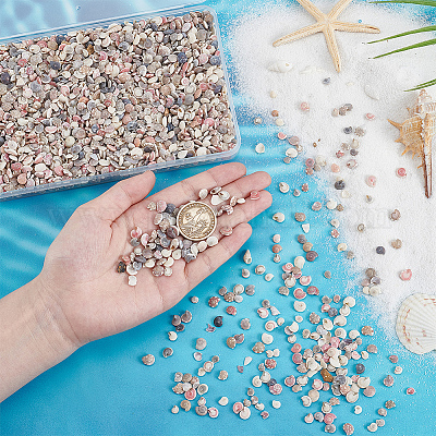 Мини-бусины из натуральных ракушек BSHE-PH0001-57B-1