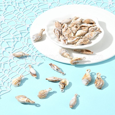 30шт 3 стиля непрозрачные акриловые подвески OACR-FS0001-78-1