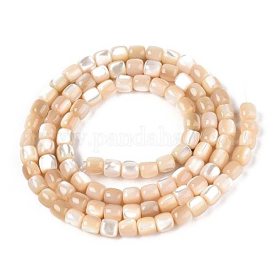 Нити бусин из натуральных трохоидных/трохус ракушек SSHEL-N040-12-1