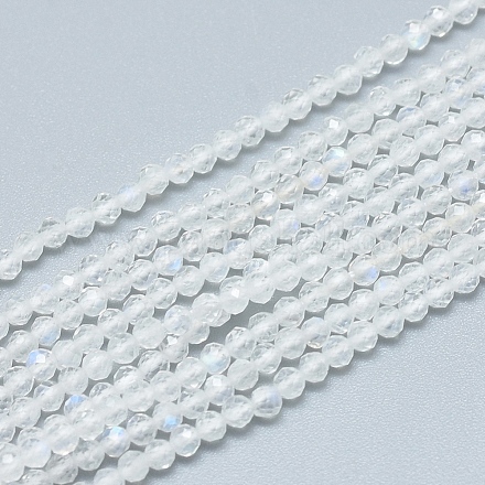 Бусины из натурального радужного лунного камня G-D0003-E91-3MM-1