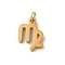 304 Stainless Steel Charms, with Jump Ring, Golden, Constellation Charm, Virgo, 12x9x1.5mm, Hole: 3mm