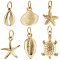 24Pcs 6 Styles Brass Pendants, Long-Lasting Plated, with Jump Ring, Shell Shape/Starfish/Tortoise Charm, Real 18K Gold Plated, 9~15.5x8~10.5x2~3.5mm, Hole: 2.5~3mm, 6 styles, 4pcs/style, 24pcs