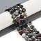 Natural Afican Bloodstone Beads Strands, Faceted Pentagonal Cut, Flat Round, with Seed Beads, 10~10.5x5~6mm, Hole: 1mm, about 32~33pcs/strand, 15.75''(40cm)
