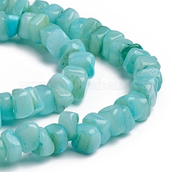 Нити бусин из ракушек BSHE-G026-02