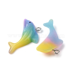 Подвески из непрозрачной смолы&nbsp;RESI-Z036-01P