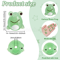 12шт ручной работы бусины лэмпворк LAMP-DR0001-03