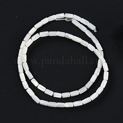 Нити бусин из натуральных пресноводных ракушек BSHE-H109-16