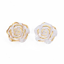 Прозрачные акриловые подвески&nbsp;TACR-N014-010