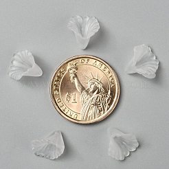 Прозрачные акриловые бусины&nbsp;X-PL622-9