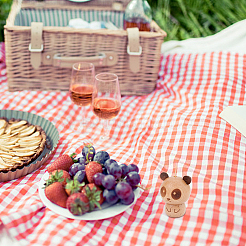 Деревянная бутылка для зубочисток AJEW-WH0258-806