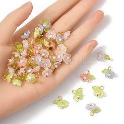 100шт акриловые подвески&nbsp;PALLOY-JF03828