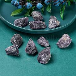 Необработанные натуральные аметистовые бусины G-F710-05