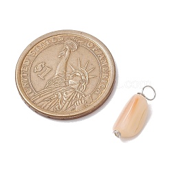 Натуральные ракушки самородки подвески&nbsp;PALLOY-JF02841