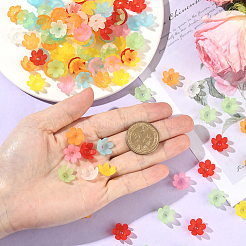 600 шт. матовые акриловые колпачки для бусин&nbsp;MACR-SC0002-46