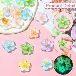 18 шт. 9-цветные градиентные и светящиеся непрозрачные смоляные кабошоны&nbsp;RESI-CJ0004-24