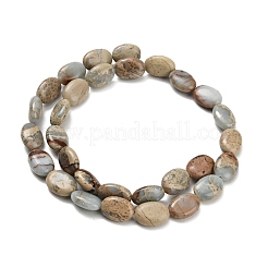 Натуральные бусины из аква терра яшмы G-Z110-G01-10x14mm