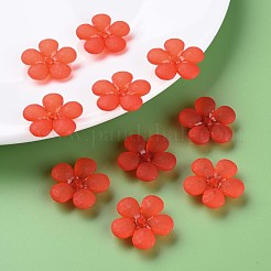 Прозрачные акриловые бусины MACR-S373-116-D09