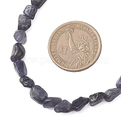 Женские бусины из натуральных самородков иолита&nbsp;NJEW-JN05829