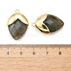 Природные подвески лабрадорита&nbsp;G-U019-03B-07