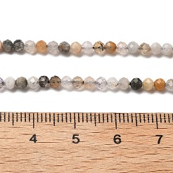 Нити бусин из натурального черного рутилированного кварца&nbsp;LS-G-RM241221-B24