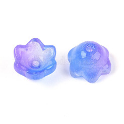 Прозрачные двухцветные колпачки для стеклянных бусин&nbsp;A-GLAA-Q089-002B-003