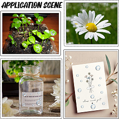 Акриловый кабошоны DIY-WH20053-60