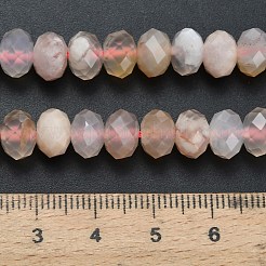 Натуральные вишневые агатовые бусины G-Z111-A40