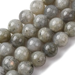Естественно лабрадорита шарик нити&nbsp;G-P259-05-8mm