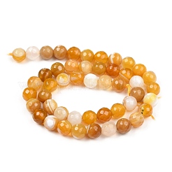 Натуральные полосатые агатовые / полосатые агатовые бусинки G-H1593-8mm-01