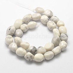 Природные Howlite самородки шарик пряди G-L288-08