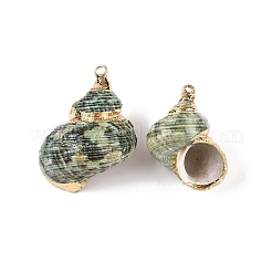 Подвески из натуральной морской раковины SSHEL-N038-56