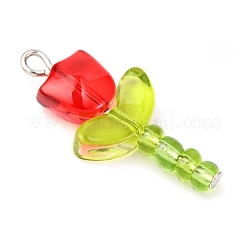 5 шт. 5-х цветные прозрачные подвески-лэмпворк PALLOY-JF04462-02