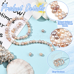 1 нить бусин из натурального культивированного пресноводного жемчуга&nbsp;PEAR-SC0001-41